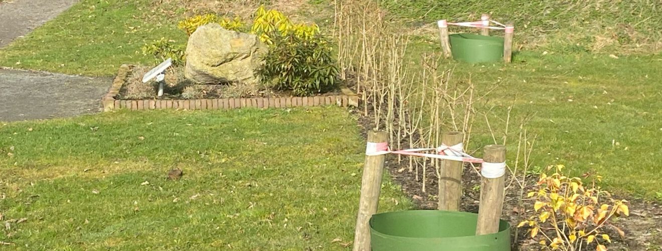 Foto van het Anjerperk aan de Dijkpoort. Afwezig zijn ce twee bomen die ter decoratie moesten dienen. Door het gebrek aan deze bomen oogt het totaalgeheel troosteloos en kaal, vooral omdat de versteviging waar deze bomen zouden groeien er nog wel staat.