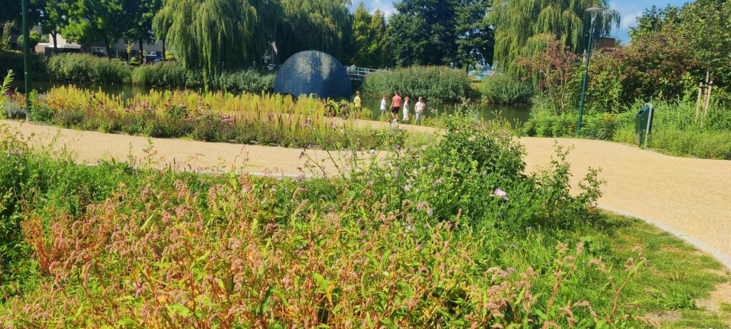 Je ziet een groen park met diverse soorten bloemen en grassen, die bloeien naast een kiezelpad. In de achtergrond wandelt iemand, terwijl twee kinderen in een vijver staan te vissen en hun ouders toekijken. Achter de vijver staan enkele rietkluiten en wilgen.