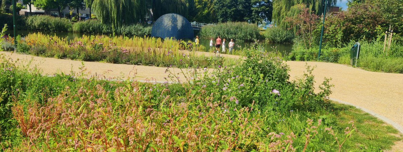 Je ziet een groen park met diverse soorten bloemen en grassen, die bloeien naast een kiezelpad. In de achtergrond wandelt iemand, terwijl twee kinderen in een vijver staan te vissen en hun ouders toekijken. Achter de vijver staan enkele rietkluiten en wilgen.