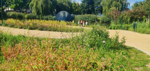 Je ziet een groen park met diverse soorten bloemen en grassen, die bloeien naast een kiezelpad. In de achtergrond wandelt iemand, terwijl twee kinderen in een vijver staan te vissen en hun ouders toekijken. Achter de vijver staan enkele rietkluiten en wilgen.